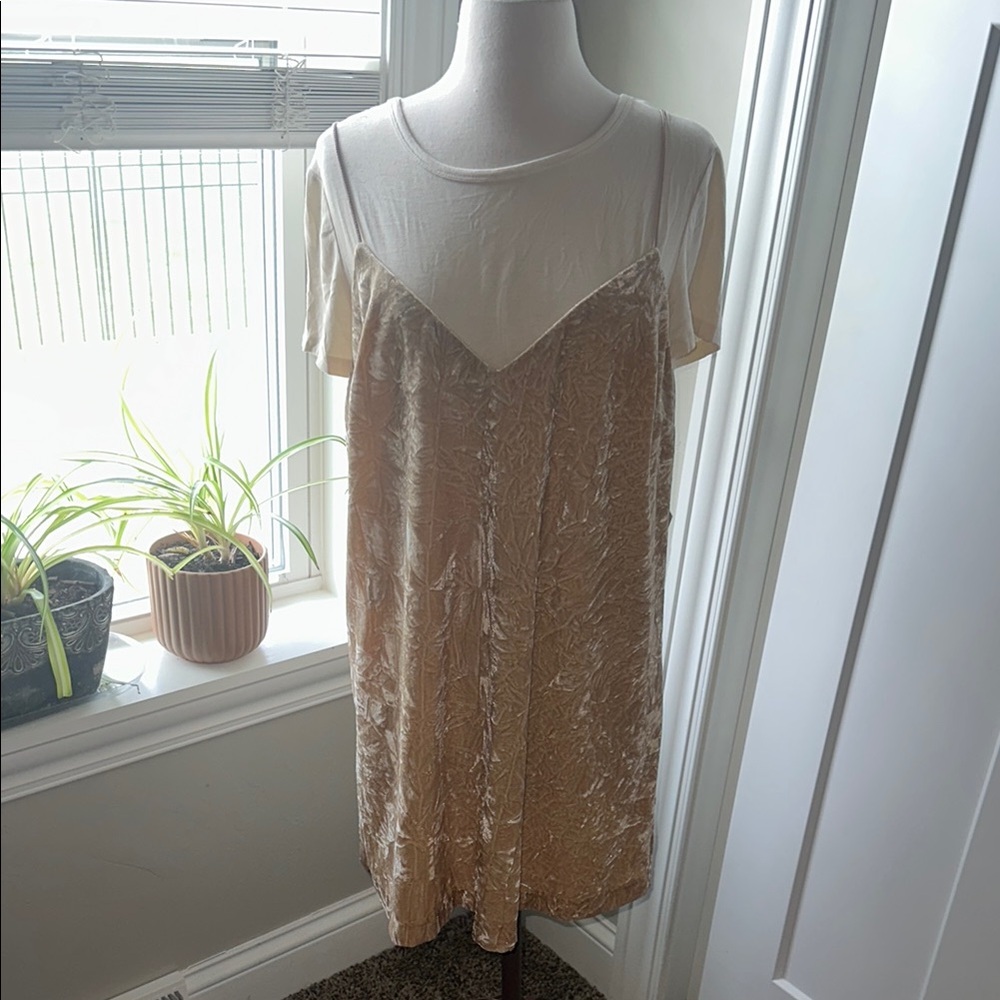 Kensie Cream and Tan Lace Chemise‎ with Sheer Sleeves